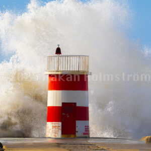 One of the light houses in the port, north side